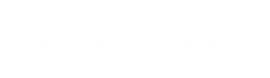 Newspulse