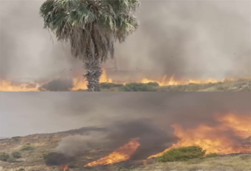 Spain - Fire