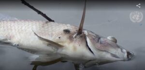 سمندر - موسمیاتی تبدیلی