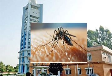 ڈینگی -محکمہ موسمیات