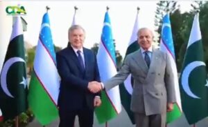 بابر پارک